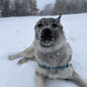 Meet your Posher, Haley